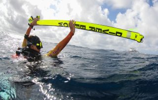 diver below